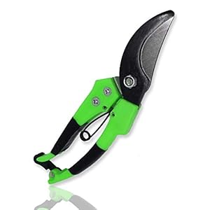 LGS AKH® snoeischaar | 20 cm/8 inch | Handsnoeischaar Tuin Clip Boom Trimmer Tuinschaar