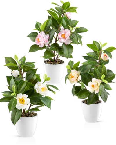 PASCH® Camélia dans un pot en céramique brillante | Fleurs artificielles en pot | Fleurs artificielles comme de vraies fleurs | Fleurs artificielles comme...