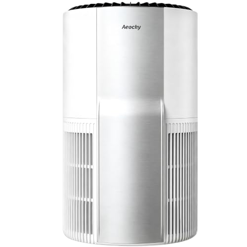 AEOCKY 4200 ft² Whole-House Air Purifier