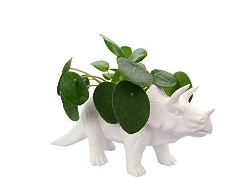bitten Tricerapot Dino Blumentopf aus Porzellan - Triceratops Pflanzkübel Pflanztopf Dinosaurier Übertopf