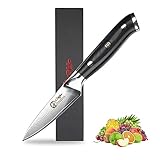 Dnifo Paring Knife, Fruit Peeling Knife Japanese AUS-10 Damascus Steel 67 Layer Razor-Sharp-3.5 Inch Kitchen Knife Stainless Steel Small Sharp Knife with High-Density Fiber Handle for Kitchen Cutting