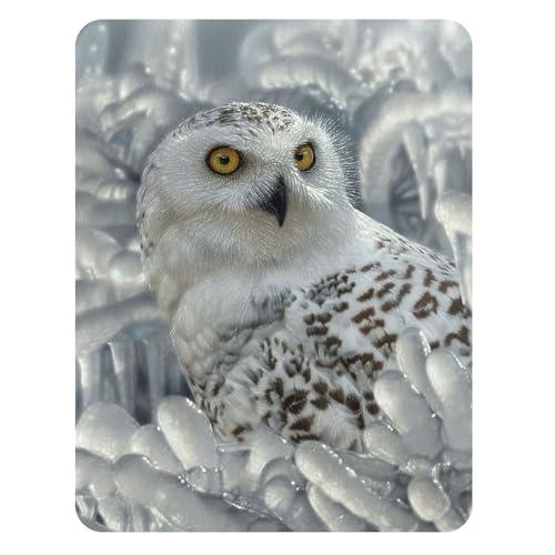 3D LiveLife Magnet - Snowy Owl Sanctuary from Deluxebase. Lenticular Arctic Animal Refrigerator Magnet. Decorative 3D Bird Flat Magnets. Cute Small Magnets for Fridge, Dishwasher and Whiteboard.