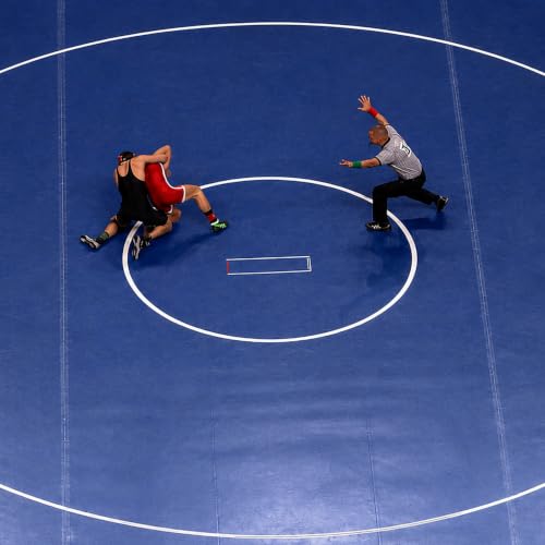 Image of Meister Premium Mat Tape for Wrestling, Grappling and Exercise Mats - Clear - 3 inch x 84ft - 1 Roll (1095MT6M3N)