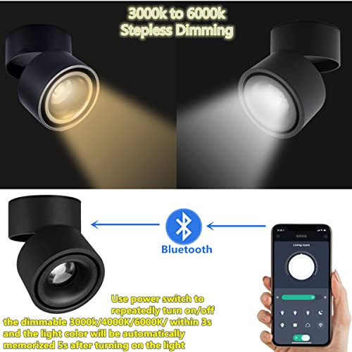 Image of LED Dimmable Ceiling Art Spotlight - 360Adjustable Indoor Surface Mounted 10W COB Lighting -Stepless Dimming Warm Light 3000K to Cool White 6000K Ceiling Downlight-Wall Swivel Lamp (Black)