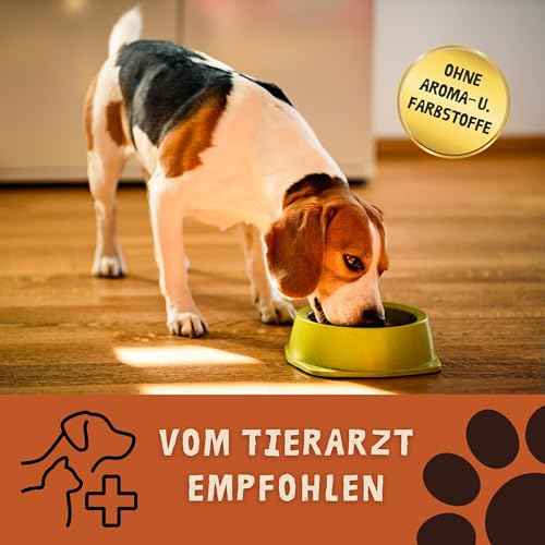 ROPODOG Hundefutter Nassfutter 6×800 g für Erwachsene Hunde Aller Rassen Premium Qualität getreidefrei, proteinreich, gut verträglich – Vollnahrung im Vorratspack (Rind & Herz)