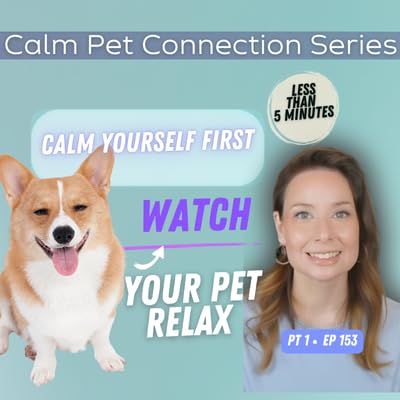 Calm Yourself With This &mdash; Then Watch Your Pet Relax | Ep 153
