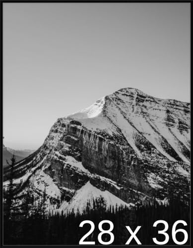 Frame It Easy 28 x 36 Gloss Black Metal Frame (Ashford)