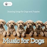 Pets Care Records / Silgoa