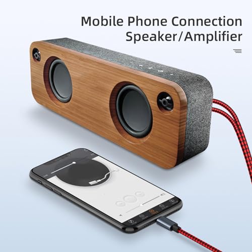 Cable USB C a 2RCA macho para conectar tu móvil tipo C a amplificador de sonido y cine en casa 4