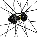 Mavic Cosmic SLR 45 Wheelset Centerlock, Hg, 12X100/12X142