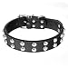 Itery Durable Leather Studded Pu Leather Dog Collar Adjustable 17---21 Inch (Black)