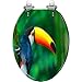 Elongated Toilet Seat Colorful cute Toucan tropical bird Brazilian blurred Resin Toilet Seat Quietly Slow Close with Quick-Release Hinges Toilet Seat with Cover Easy to Clean Install