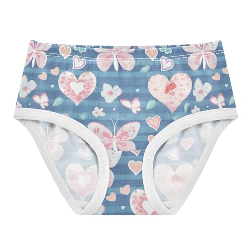 Wusikd Gingham Heart Girls' Underwear Cotton Butterflies Girls Briefs Soft Toddler Underwear 2T