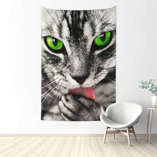 Aj wiz킢L ^yXg[ t@ubNǏ v[g pi z[  |X^[