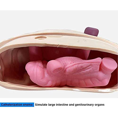 160Cm Life Size Human Manikin Full Body Patient Care Simulator First Aid Trauma Care Manikin For Nursing Medical Training Teaching #TOP6