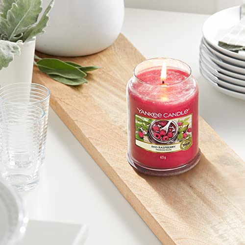 Yankee Candle Scented Candle | Red Raspberry Large Jar | Long Burning Candles: up to 150 Hours | Perfect Gifts for Women