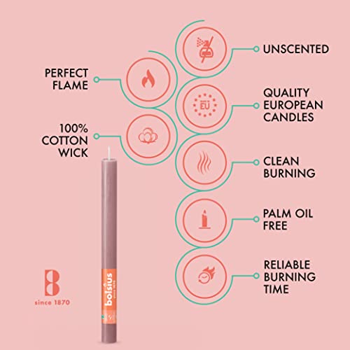 Bolsius 16 Ash Rose Rustic Household Candles - 10.5 Inch - Premium European Quality - 13 Burn Hours - Natural Eco-Friendly Plant-Based Wax - Unscented Dripless & Smokeless Party & Décor Candlesticks #TOP2