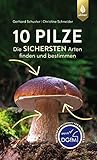 10 Pilze: Die sichersten Arten finden und bestimmen
