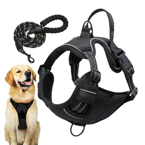 Euyehn pn[lXƃ[hZbg,˃ybgn[lX[hZbg | yʃybgxXg p[ht Rg[ȒPŒ߉\ȃtBbg ^̃g[jO⃉jOɍœK