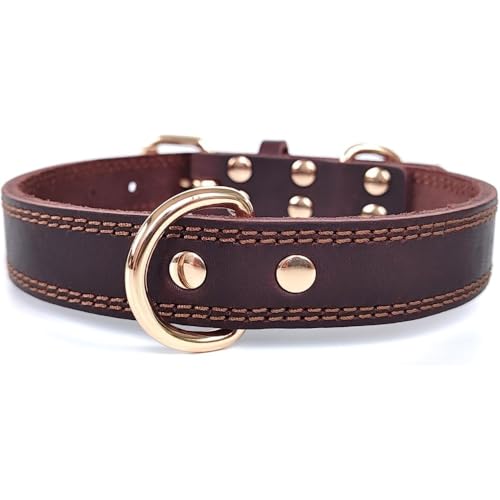 Sailozai ybgp U[ p tOC _uDobN lbNX (uE,L)