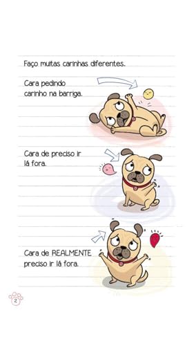 Diário de um Pug 1: Pug e o foguete