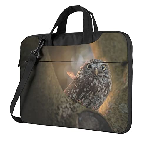 13/14/15/15.6C` m[gp\RP[X Ռz PCP[X p\RobO rWlXu[tP[X V_[obO bvgbv یP[X 񂰃Jo p\R΂ t @\ ʋ ʊw A o s jpi