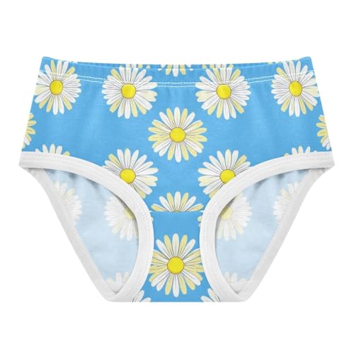 White Daisies Blue Panties Little Girl Toddler Underwear Floral Cotton Designer Undies Kids Briefs 2t