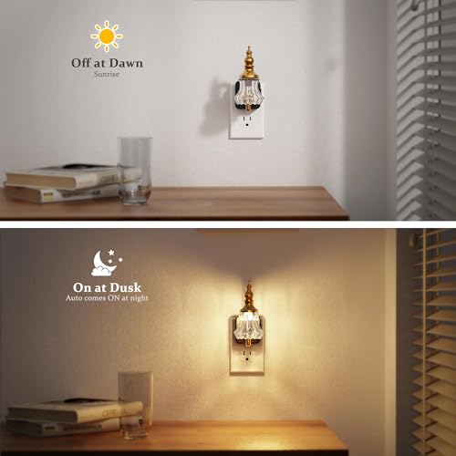 Image of JandCase Night Light, Night Lights Plug into Wall, Glass Flower Nightlight | LED 0-100LM Dimmable Nightlights, Dusk to Dawn Sensor, 1W Vintage Nite Light for Bathroom Hallway Gift Decor, 1 Pack