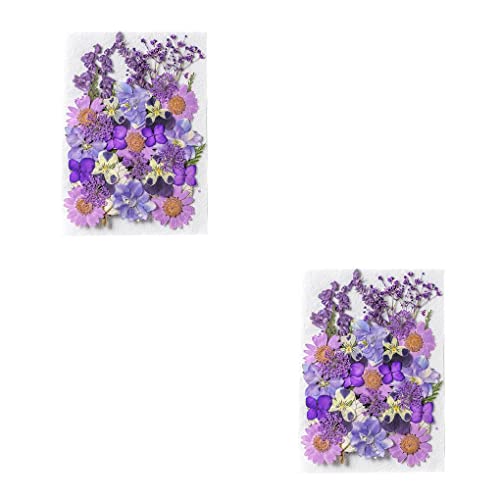2 Conjuntos de Flores secas 1 conjunto de flores secas prensadas para cartão de artesanato faça você
