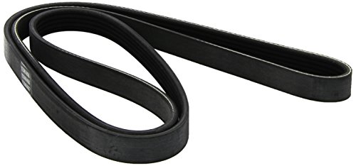 Courroie Dayco 5PK1572 Striée de Haute Précision pour Transmission
