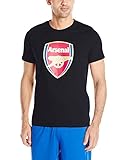 Puma Men's Afc Fan Tee Crest (Q3)