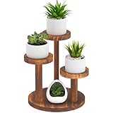 3 Tier Table Top Plant Stand Wooden Round,Small Window Sill Plant Shelf Indoor,Mini Desk Flower Succulent Stand Holder Rack,Little Display Stand for Desktop,Windowsill,Countertop,Kitchen,Oil Painting