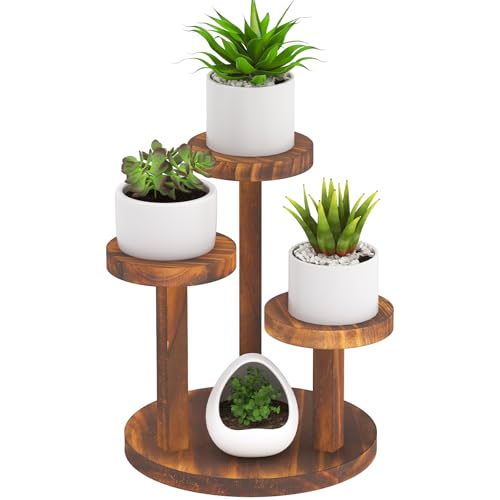 3 Tier Table Top Plant Stand Wooden Round Small Window Sill Plant Shelf Indoor Mini Desk Flower Succulent Stand Holder Rack Little Display Stand for Desktop Windowsill Countertop Kitchen Oil Painting