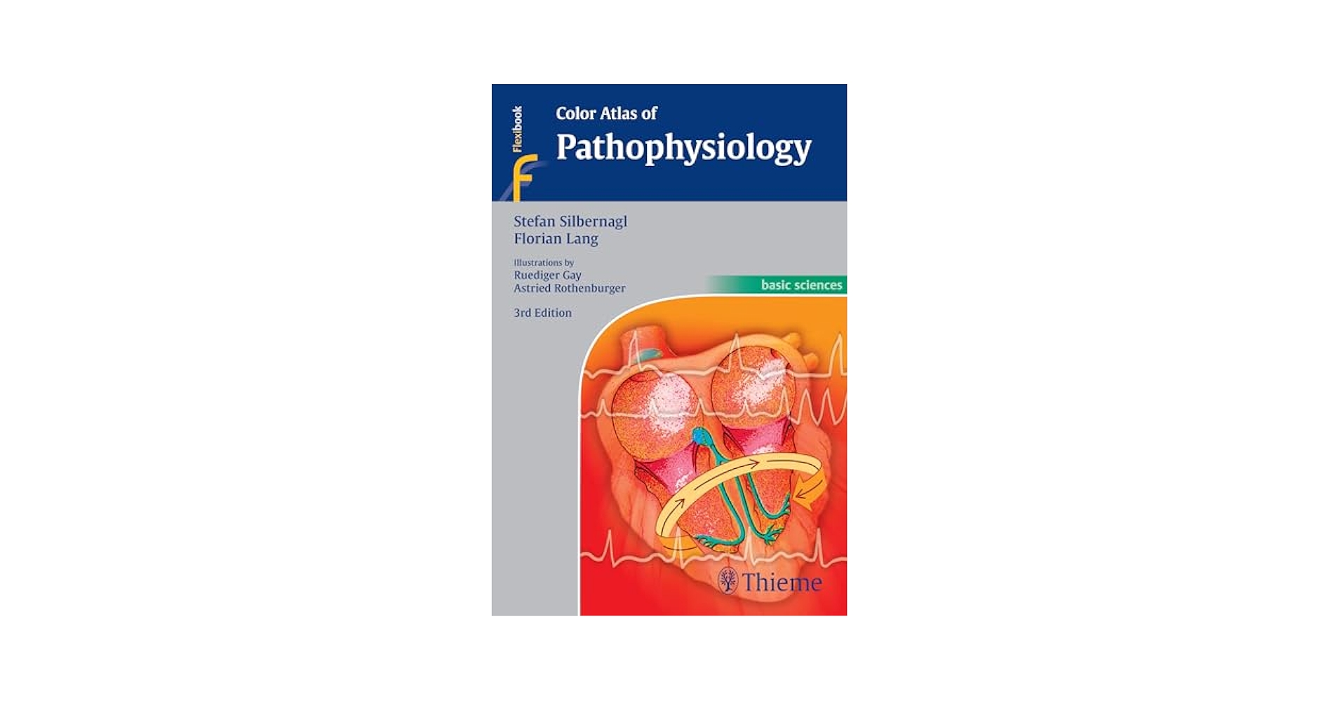 Color Atlas of Pathophysiology: 9783131165534: Medicine