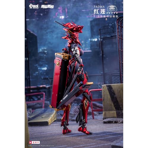 Amazon.co.jp: HiPlay : Animester