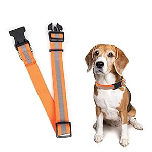 Western Era Dog Reflective Collar, Nylon Fabric, Flexible, Ultra Soft, High Density, Friendly to Pets and has no Irritation, Play Freely and Comfortably