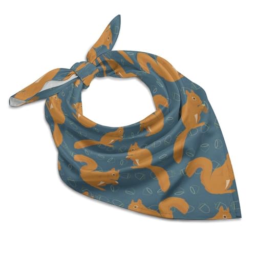 Csemeie Cute Squirrel Animal Pattern Bandana Hair Scarf Headband Adjustable Neckerchief for Men Women Decor