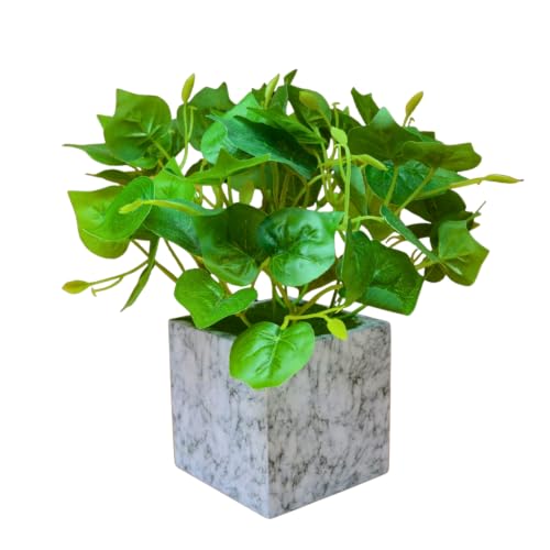 Image of fancymart Artificial Plant with Real-Touch Leaves in Pot, 25 cm, Indoor Tabletop Item for Home Decor, Office, Living Room