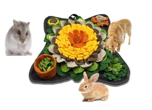 Dliduy ETM ̉a}bg Xibt }bg a}bg C^NeBu a pY  ybg XjbtBO g[jO }bg p nX^[ bg XgX