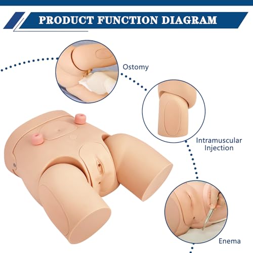 Modèle de cathétérisation interchangeable AMITD pour pratique infirmière - 4