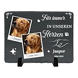 Umitive Individueller Grabstein für Haustiere - Personalisierte Gedenktafel mit Foto & Name - Hundegrab, Tierfriedhof Dekoration - Erinnerungsgeschenk für verstorbene Tiere (Style L)