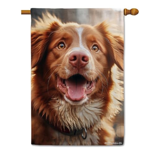Ganshan Bi Divertida bandera de jardín con diseño de pato de Nueva Escocia, pintura al óleo, para perro, cachorro, retrato, bandera, exterior, patio, granja, decoración, personalizable, 12.5 x 18