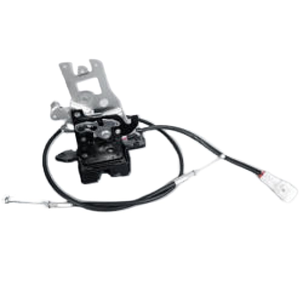 Fcvbtkcza Lock With Cable Back Door Lock Tailgate Latch Compatible With Sequoia 2001 2002 2003 2004 2005 2006 2007(Lock With Cable)