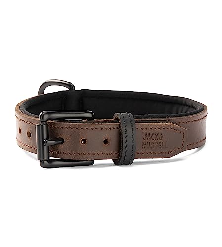 Hundehalsband aus Echt-Leder und Neopren-Schicht – gepolstertes und Robustes Lederhalsband für kleine & große Hunde – Premium Halsband Craig (M (36.0-45.0cm))