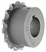 Chain Coupling Sprocket, Bore 1 In