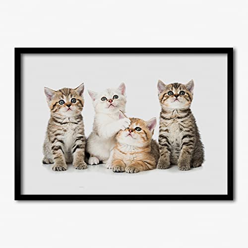 Cadre en bois moderne Tulup 70x50 cm pour peinture et affiche haute finition