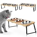 Tilted Cat Bowls, Adjustable Height Elevated Feeder Bowls for Cats and Small Dogs, Stainless Steel Raised Feeding Bowls with Stand, Anti Vomit, Anti Slip Cat Food and Water Bowls