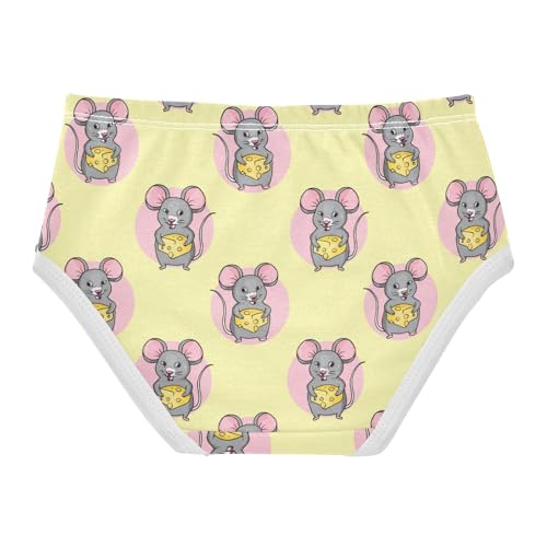 Cute Gray Mice Cheese Toddler Girls's Underwear 2T 202c18032