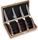 Damast Steakmesser Set Wakoli EDIB 4er Set mit Pakkaholzgriff