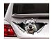 OGJFLT Adesivo per Auto Cane A Bordo 2Pcs Adesivo per Auto Schnauzer da 25Cm, Decalcomania per Auto per Cani, Decalcomania Schnauzer, Decorazione per Auto, Decalcomania per Animali Domestici